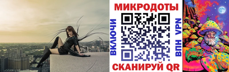 Галлюциногенные грибы Psilocybine cubensis  Адыгейск 